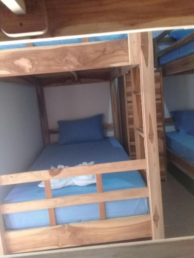 Turtle Island Homestay Санур Экстерьер фото